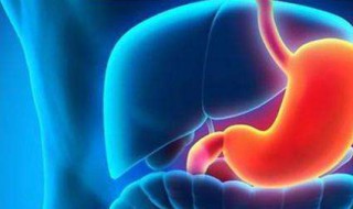 胃酸的主要作用 胃酸的主要作用之一是激活胃蛋白酶原