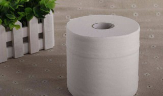 怎么用卫生纸做洗手巾 可以洗手的纸巾怎么做