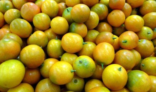 金柑的修剪方法（盆栽金桔春季修剪方法）