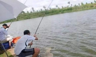 最简便的钓鱼方法（最简便的钓鱼方法视频）