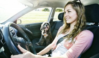 上高速晕车怎么解决 上高速晕车怎么解决的