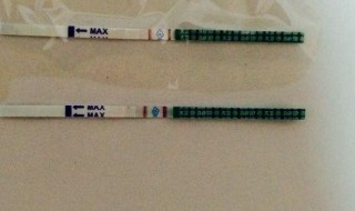 验孕纸怎么看 验孕纸怎么看结果图片