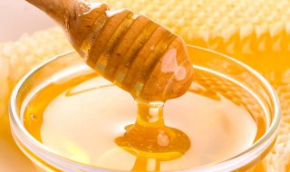 蜂蜜和酸奶能做面膜吗（酸奶和蜂蜜做面膜可以吗）