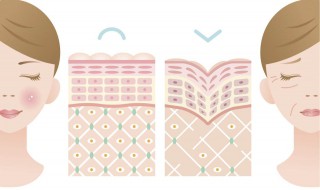 怎样能皮肤好（怎样皮肤好,气质好）