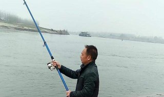 钓鱼线组搭配钓多大鱼（线组钓多大的鱼）