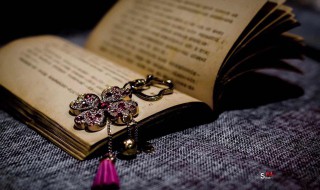 娘惹是啥意思（娘惹是什么?）