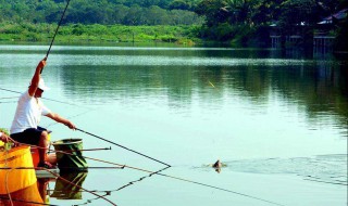 夏季野钓实用技巧（夏季野钓实用技巧大全）