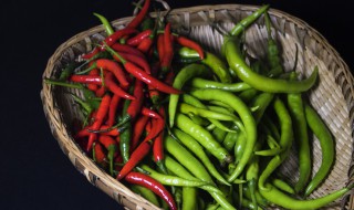 种小米辣的方法（种小米辣椒的方法）
