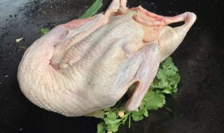 鸭子的拔毛方法（鸭子的拔毛方法图解）