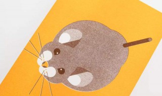 治老鼠的新方法 如何有效的治老鼠