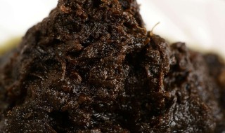 橄榄菜的储存方法（橄榄存放方法）