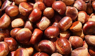 剥板栗壳的方法 剥板栗壳最简单快捷的方法