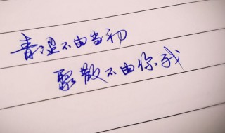 富有诗意表白古风句 富有诗意表白古风句子