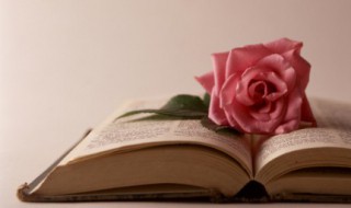 2020最火文案短句 2020最火文案长句