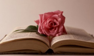 对生活感悟的美文摘抄（对生活感悟的美文摘抄短句）