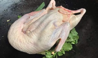 鸭子拔毛的好方法（鸭子用什么方法好拔毛）