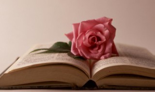 2020爆款文案（2020年最火文案）