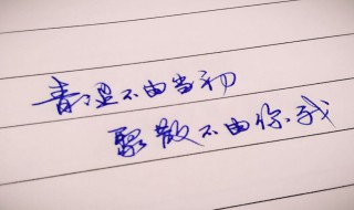 表白散文唯美句子（表白 散文）