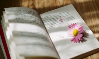 文艺有韵味的句子（文艺有韵味的句子有哪些）