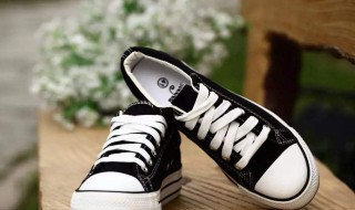 多种栓鞋带的方法 双鞋带怎么拴最好看的