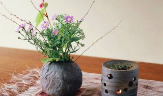 插花的方法（插花的方法和知识）