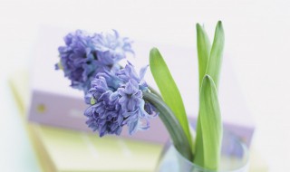 短句霸气激励人心押韵（短句霸气激励人心押韵口号）