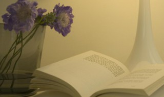 正能量清新文艺的句子（正能量清新文艺的句子古风）