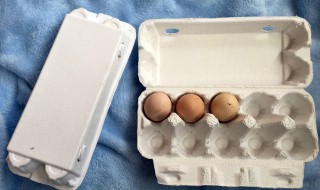 装鸡蛋不碎的方法（鸡蛋怎么装不碎）