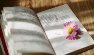 2020最火好听励志句（2020最火励志句经典短句）