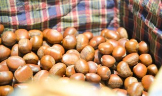 储存新鲜板栗的方法 新鲜板栗的储存办法