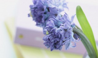 干净温柔签名短句 干净短句个性签名