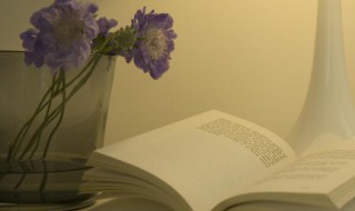 甜甜的恋爱文案美句（甜甜的恋爱文案句子）