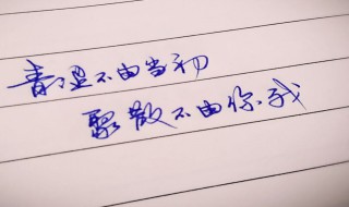 100句唯美心情短语（唯美的心情短语）