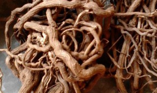 酸藤根的功效与作用（酸藤根的功效与作用和配方）