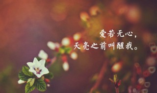 离家的句子说说或心情 离家的句子说说或心情图片