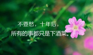 收到花的心情短语 情人节收到花的心情短语