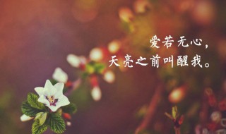 暗恋一个人的说说 暗恋又不敢表白的句子