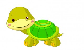 乌龟为什么拉黄水 乌龟为什么拉黄水呢