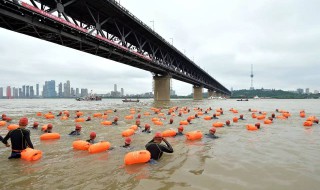 武汉渡江节什么时候开始2021（武汉渡江节什么时候开始）