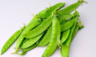 荷兰豆长大了就叫豌豆吗 荷兰豆长大了就叫豌豆吗图片