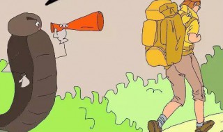 家里的厕所为什么会出现蚂蟥 卫生间怎么会有蚂蟥