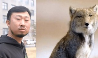 抖音无穷小亮藏狐啥梗什么意思（无穷小亮为啥叫藏狐）