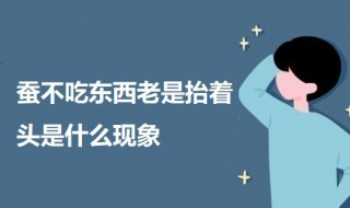 蚕不吃东西老是抬着头是什么现象 蚕昂着头不吃东西是怎么回事