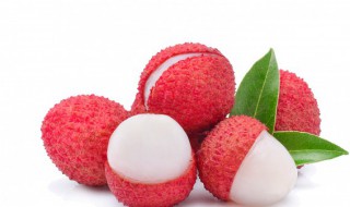 荔枝大颗的好还是小颗的好（荔枝核大的好还是小的好）