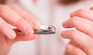 剪指甲是全部剪掉还是留一点（指甲要全部剪掉吗）