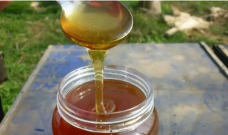 蜂蜜为什么有深色和浅色 为什么蜂蜜的颜色有深色还有浅色