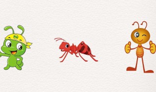 蚂蚁怎么预知下雨 蚂蚁预知下雨能提前多少天?