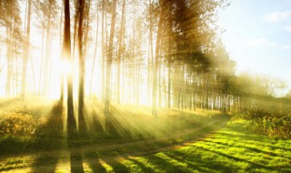 每天坚持晒太阳一年后变化（坚持晒太阳一个月有什么变化）