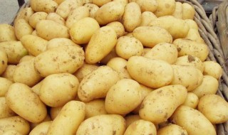 马铃薯黑心是怎么回事 马铃薯薯块黑心