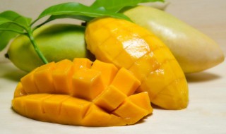 青皮芒果怎样辨别生熟 青皮芒果怎样辨别生熟图片